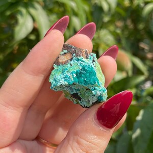 Raw Dioptase Cluster Mineral Crystal Specimen 15