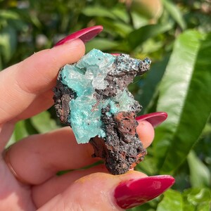 Raw Aurichalcite & Calcite In Matrix Mineral Crystal Cluster Specimen 6