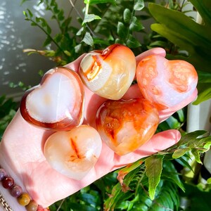May include: Five carnelian heart-shaped crystals in various shades of orange and red. The crystals are smooth and polished, with a natural, organic look.