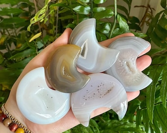 Lunes d’agate druze baguées avec sculptures dendritiques
