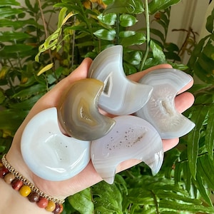 Banded Druzy Agate Moons with Dendritic Carvings