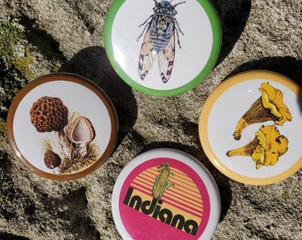 Indiana Collection, cicada, morels, chanterelles, Indiana University, Hoosier, IU, Bloomington, by Ba Ba Buttons