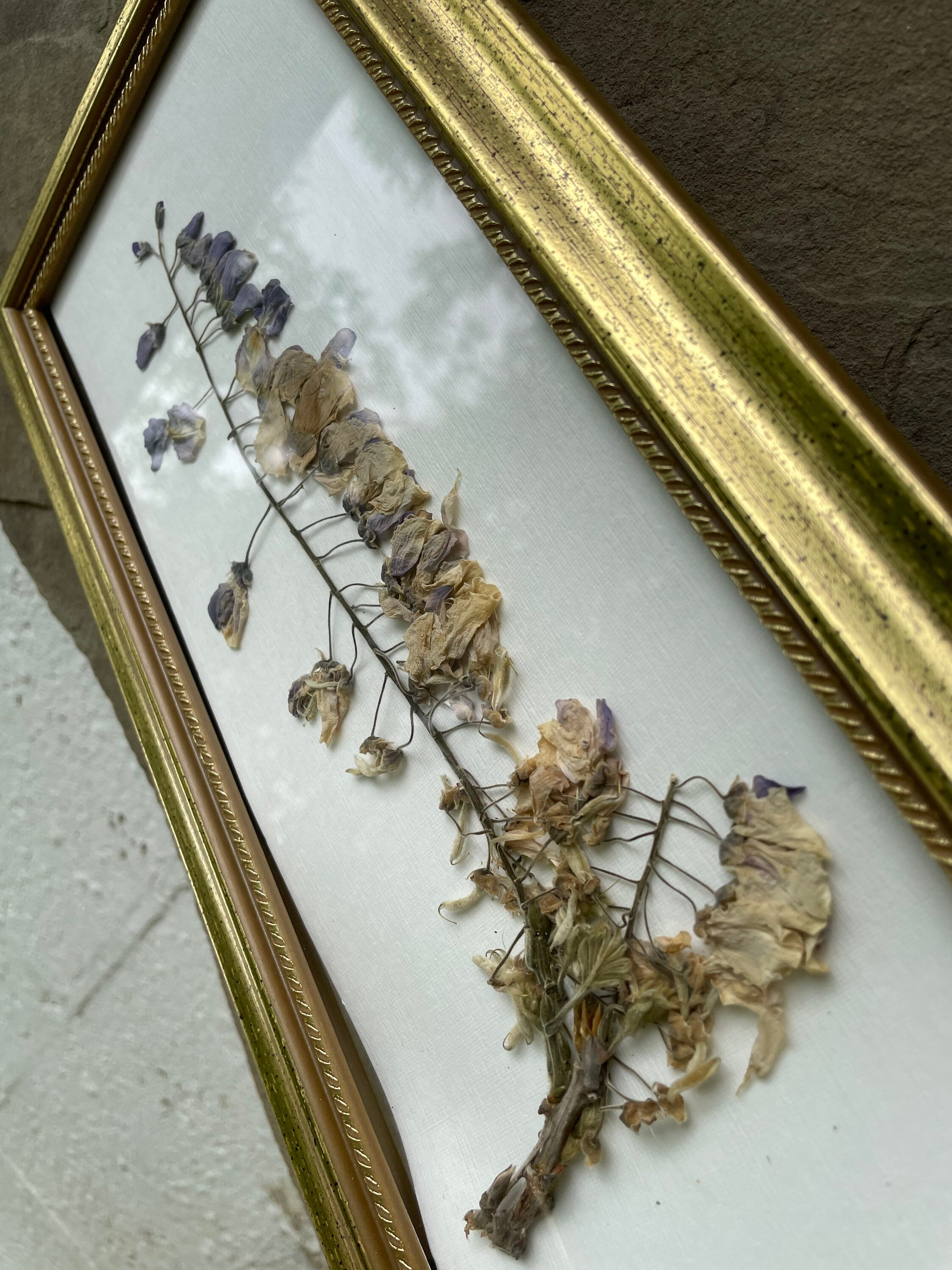 Framed pressed flowers | Etsy