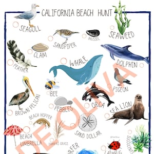Printable Beach Nature Hunt for Preschoolers and Toddlers - Great outdoor activity for the beach - California Edition