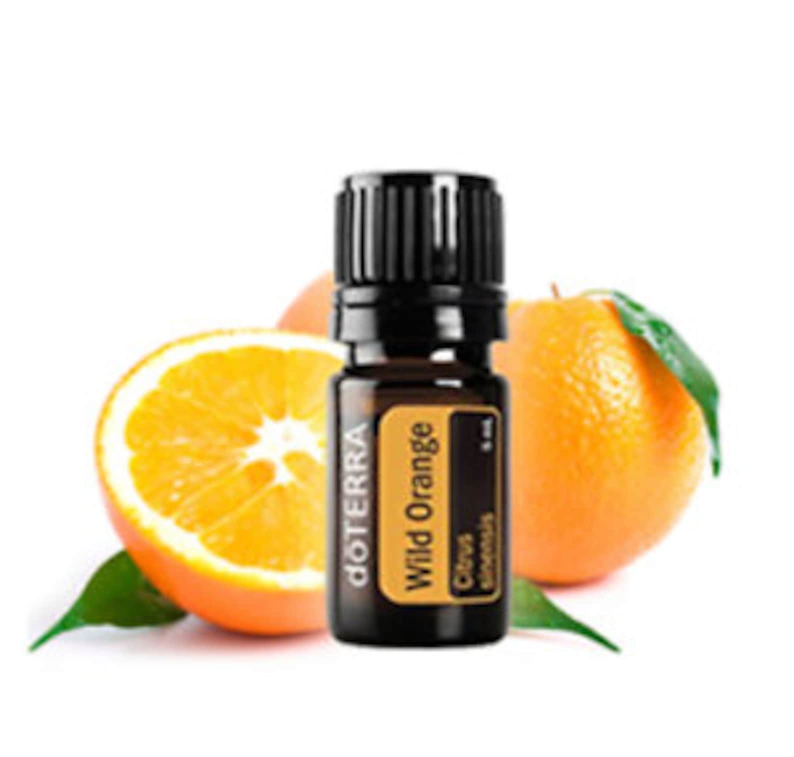 DōTERRA wild orange 5ml essential oil | Etsy
