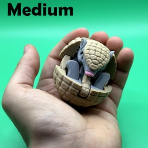 May include: A tan and gray armadillo figurine in a ball shape, held in a hand. The armadillo has a textured shell and is partially enclosed. The word "Medium" is printed in black at the top.