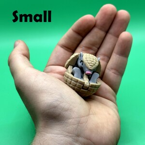 May include: A small, tan armadillo figurine inside a tan basket-like container. The armadillo has gray and pink details. The word "Small" is printed in black at the top left corner of the image.