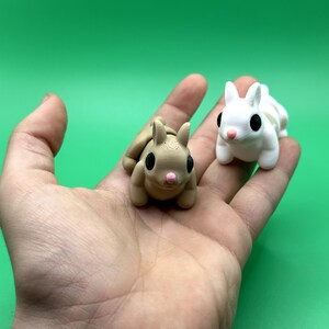 May include: Two small, 3D-printed bunny figurines. One is tan, the other is white. Both have black eyes and pink noses. The bunnies are resting on a hand against a green background. The figurines are approximately 2 inches long.