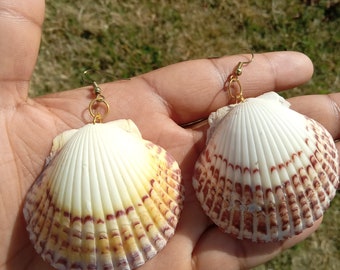 Seashell earrings from beach.