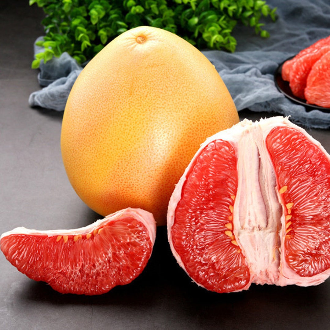 Rote Pomelo Zitrusbaum, Thai Grapefruit Citrus maxima 25 Samen Etsy.de