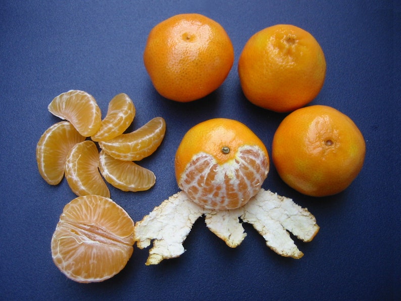 Clementine 'easy Peeler' Orange X 10 Seeds Etsy UK