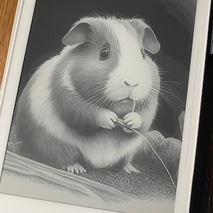 Screensavers / Notebook Covers for e-ink Tablets - Supernote, Boox Note, etc. - Very Cute Animals