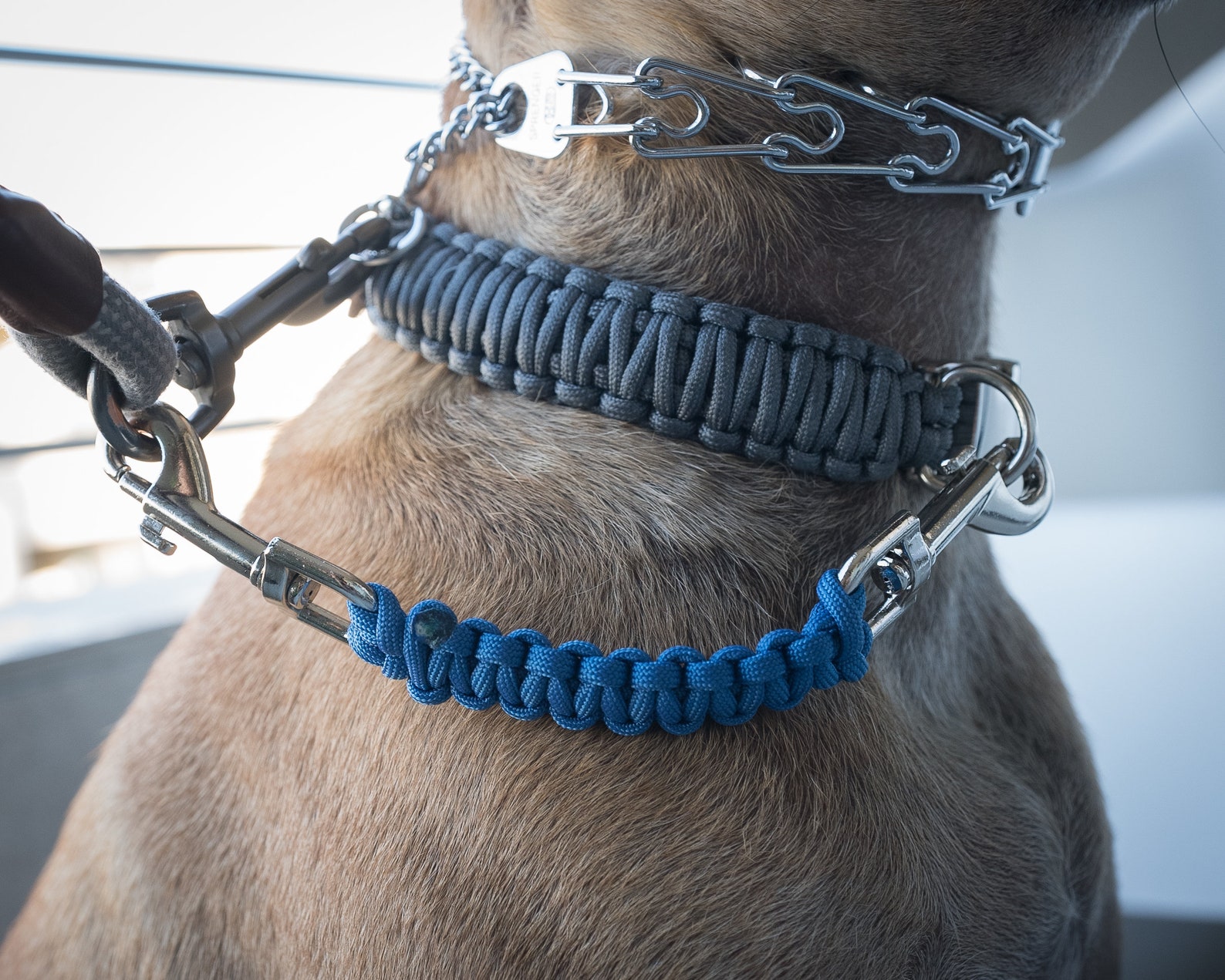 Dog Collar Safety Leash Prong Collar Back up Strap Clip Etsy