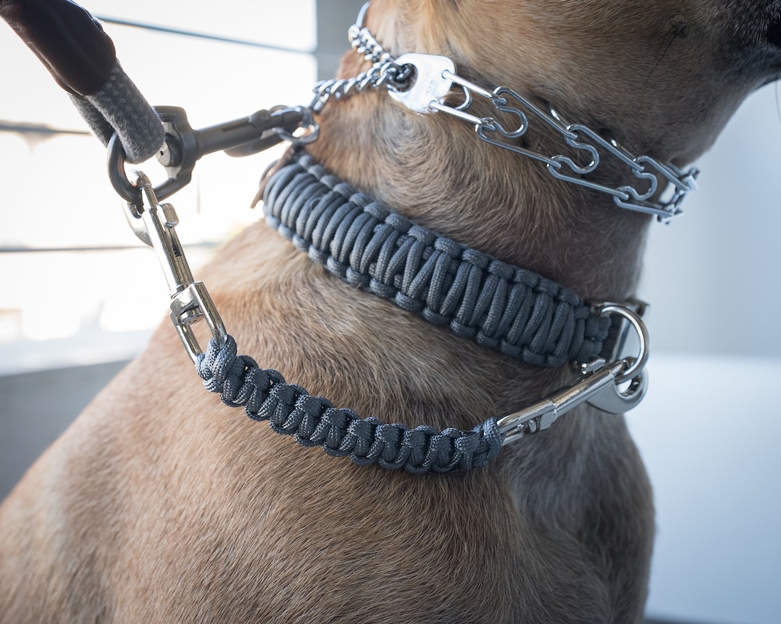 Dog Collar Safety Leash Prong Collar Back up Strap Clip Etsy