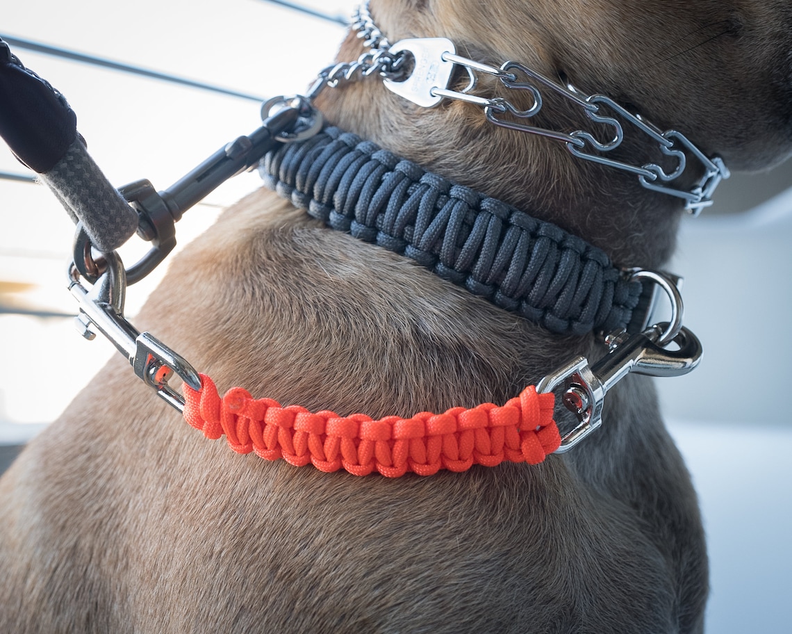 Dog Collar Safety Leash Prong Collar Back up Strap Clip Etsy