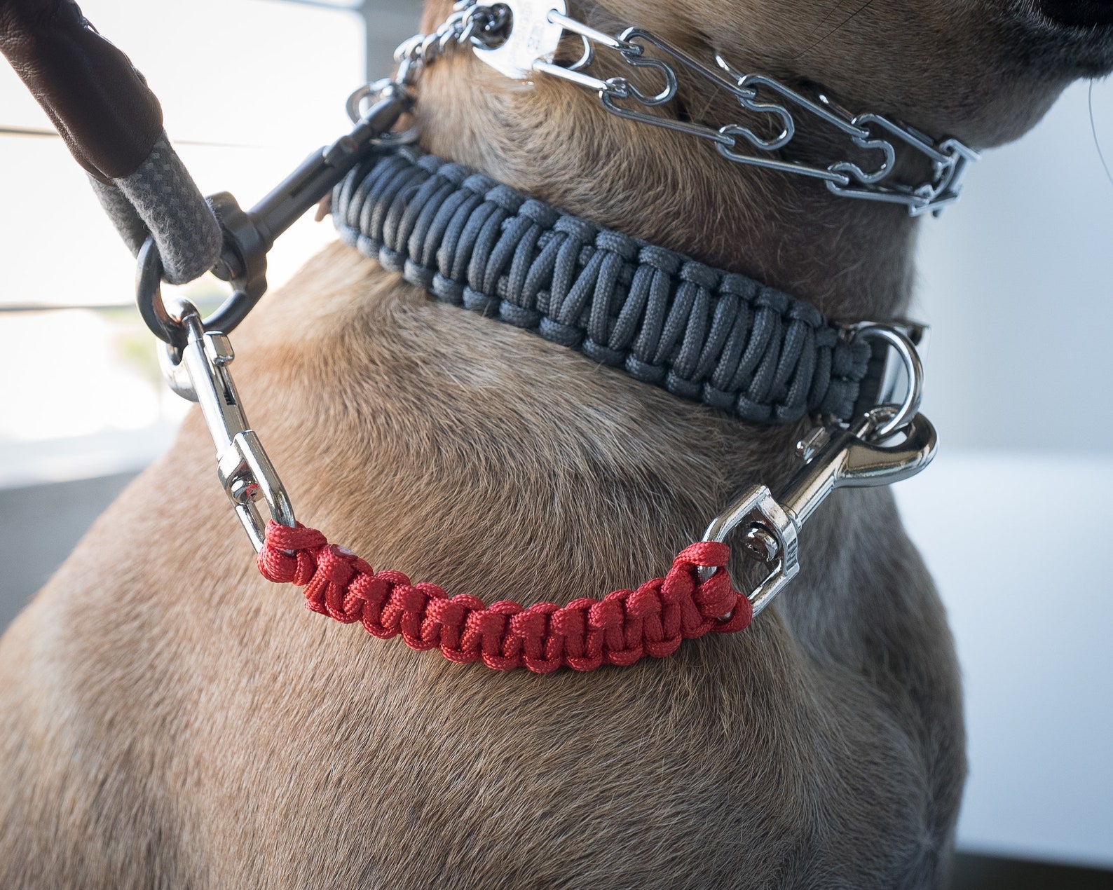 Dog Collar Safety Leash Prong Collar Back up Strap Clip Etsy