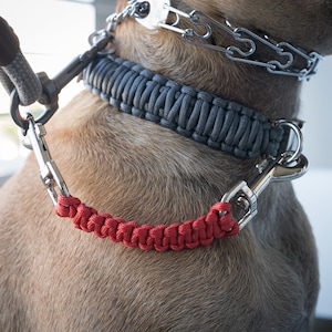 Dog Collar Safety Leash Prong Collar Back Up Strap Clip