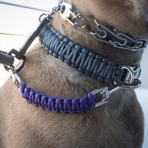 Dog Collar Safety Leash Prong Collar Back Up Strap Clip