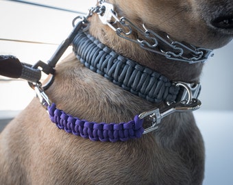 May include: A close-up of a dog wearing a grey paracord collar, a silver chain collar, and a purple paracord leash.