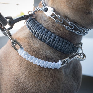 Dog Collar Safety Leash Prong Collar Back Up Strap Clip
