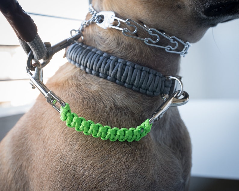 Dog Collar Safety Leash Prong Collar Back up Strap Clip Etsy