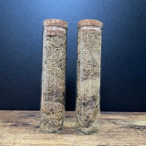 May include: Two clear glass bottles with cork tops filled with dried, light brown, stringy material.