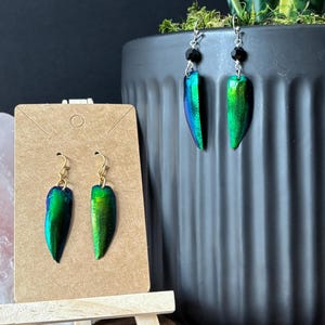 Puede incluir: Pendientes con detalles de alas de escarabajo verde y azul iridiscente. Los pendientes se exhiben en un pequeño soporte de madera con un respaldo de color neutro. Un par tiene ganchos dorados y el otro tiene ganchos plateados con cuentas negras.