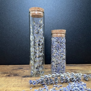 Lavender sprigs in 60ml vial or buds in 40ml vial curio oddity natural history specimen goblincore whimsigoth spell ingredient Bild 1