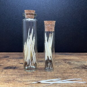 Peut inclure: Deux bouteilles en verre avec des bouchons en liège remplies de plumes blanches. Les bouteilles sont sur une surface en bois.