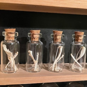 May include: Four small glass bottles with cork tops, each containing a collection of small white bones. The bottles are arranged in a row on a wooden shelf.