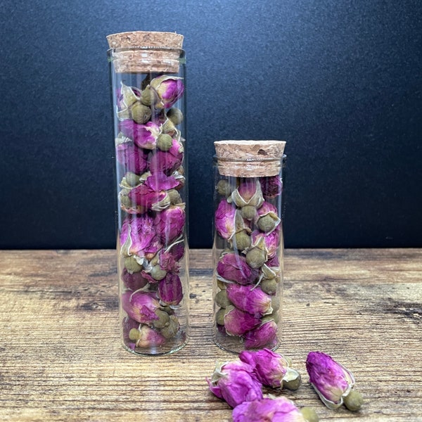 Dry Rose Buds  | curio | oddity | natural history specimen | goblincore | whimsigoth | spell ingredient | witchcraft | ethically sourced