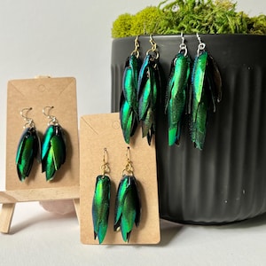 Op de afbeelding: Twee paar oorbellen met iriserende groene kevervleugels. De oorbellen worden gepresenteerd op houten standaard tegen een zwarte achtergrond.