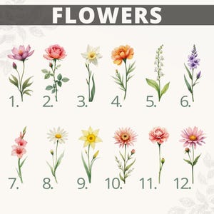 May include: A chart of 12 different flower illustrations. The flowers are numbered 1 through 12. The flowers are all in bloom and have green stems and leaves.