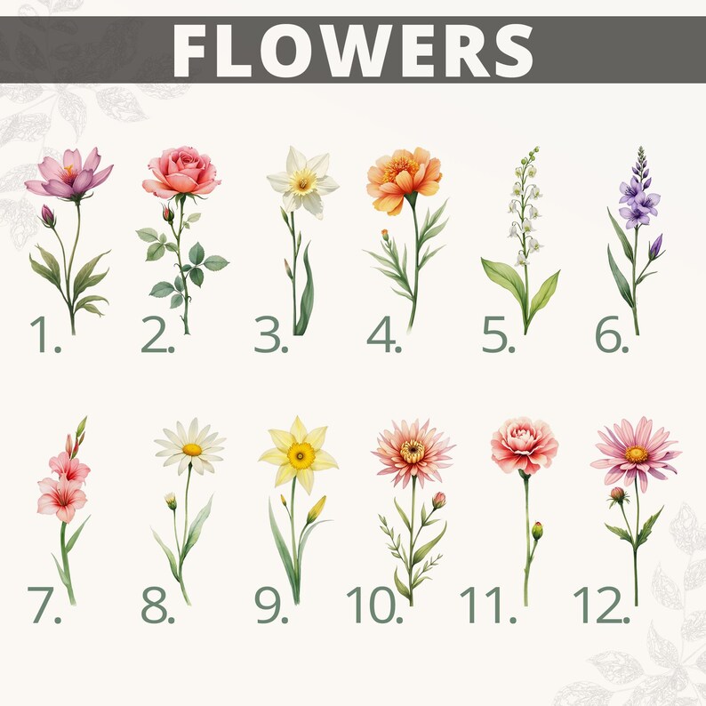 May include: A chart of 12 different flower illustrations. The flowers are numbered 1 through 12. The flowers are all in bloom and have green stems and leaves.