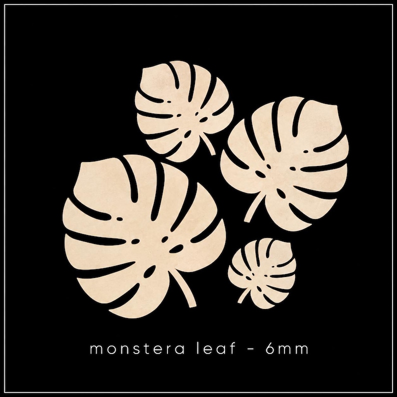 Puede incluir: Cuatro formas de hoja de monstera planas, troqueladas y de color beige claro, dispuestas en un grupo. Cada hoja presenta recortes caracter&iacute;sticos y puntas. El texto "monstera leaf - 6mm" est&aacute; impreso en blanco sobre un fondo negro.