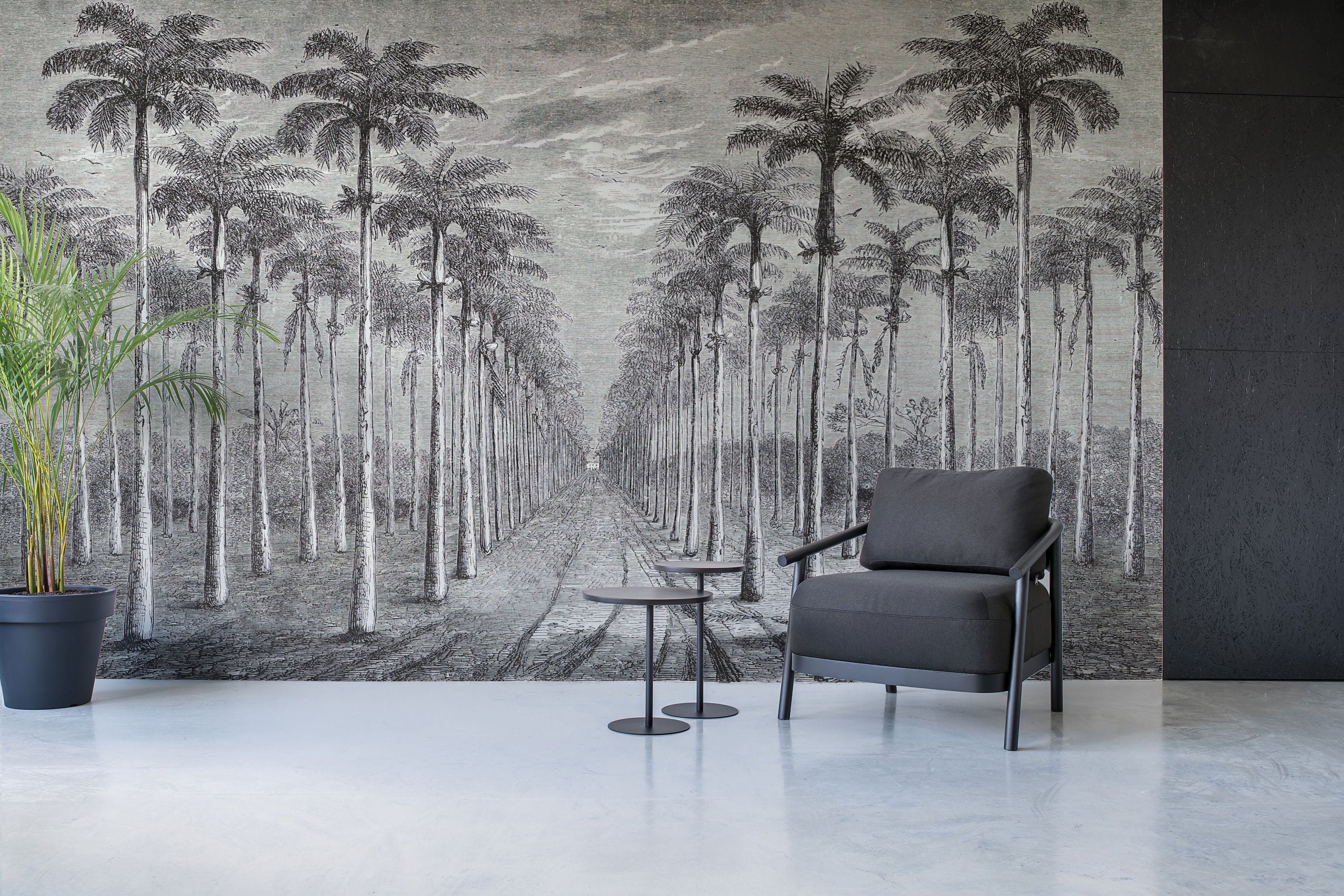 Tropical Forest Black and White Palm Leaves Wallpaper - Etsy
