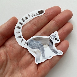 Lemur vinyl sticker | animal illustration | glossy/matte vinyl sticker
