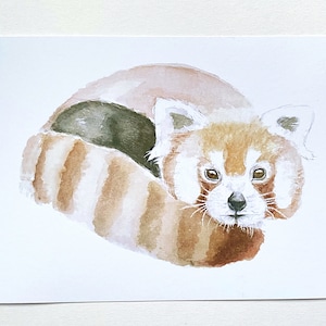Red Panda Print | watercolour print | animal wall art | A5/A4 wall art