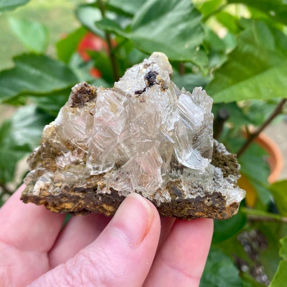Gorgeous Rough Selenite on Matrix