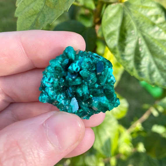 Beautiful Dioptase Thumbnail in Perky Box