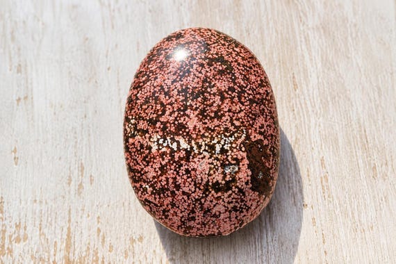 Beautiful Ocean Jasper Palm Stone, Rare, Old Stock