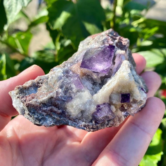 Beautiful Purple Cubic Fluorite Crystals with Surface Pattern - from El Filo Mine in Mexico
