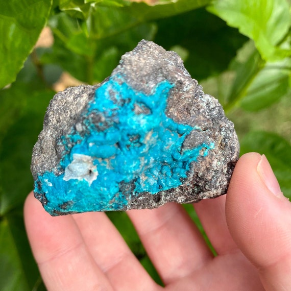 Rare High Quality Chrysocolla Raw Specimen | High Quality | Chrysocolla Stone