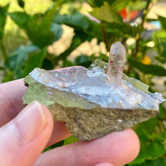 RARE, Harledote, Brandberg Quartz, Harlequin quartz on epidote, Epidote, Hematite