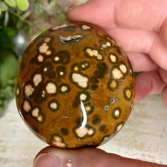 Orbicular Sea Jasper Palm Stone