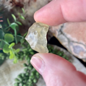 Libyan Desert Glass from Western Egypt - Individual Libyan Tektite- Genuine