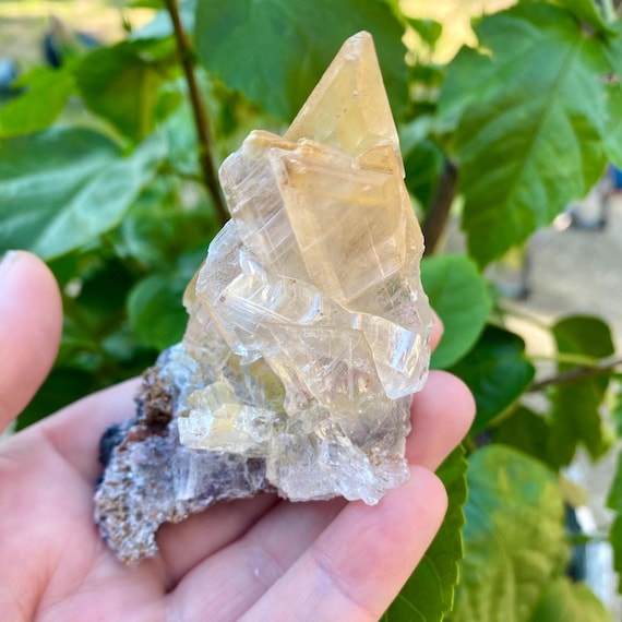 Gorgeous Rough Selenite on Matrix