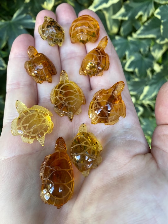 Cute Amber Turtles