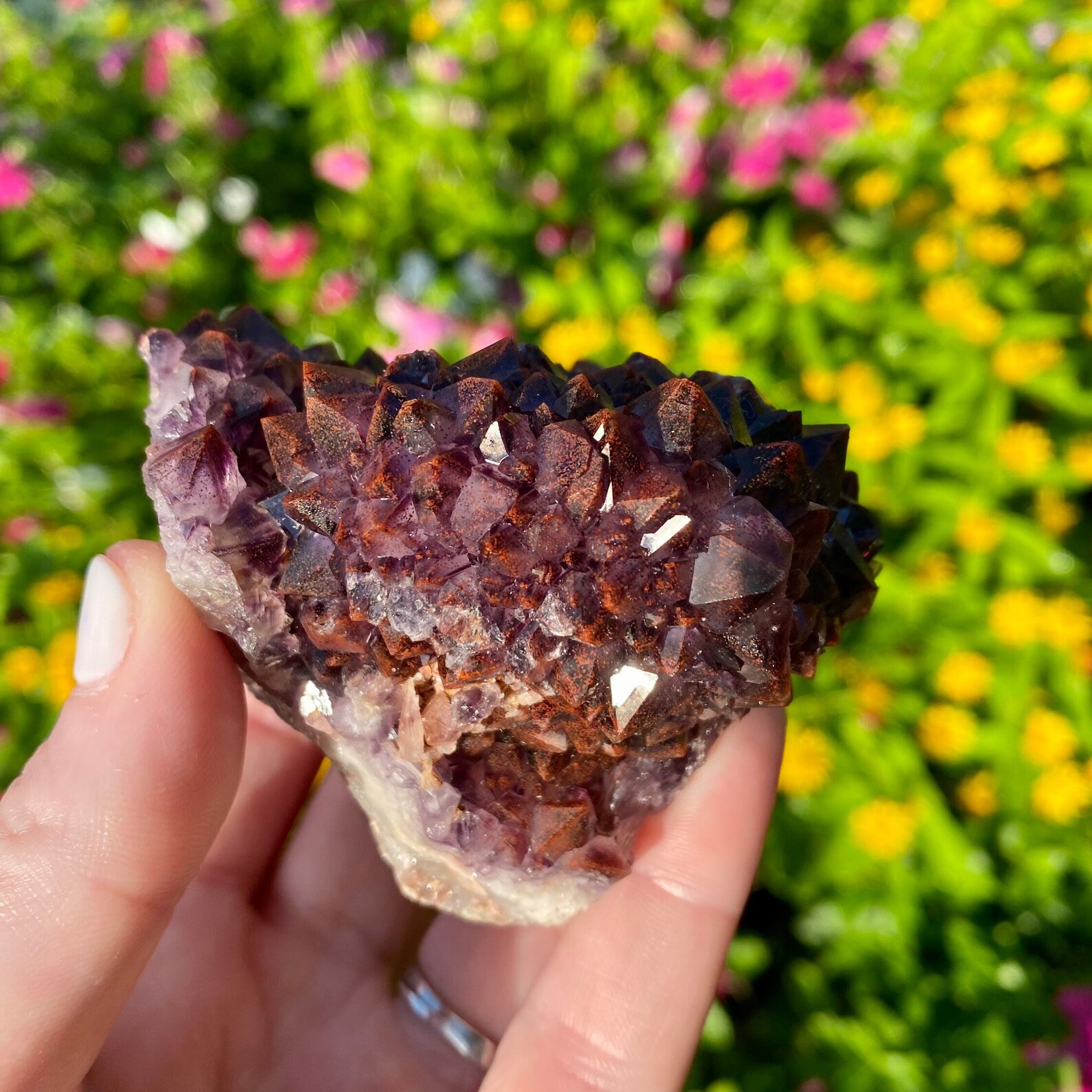 auralite auralite
