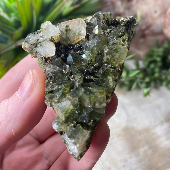 RARE FIND Fairy Forest Epidote on Quartz, Extra Sparkly